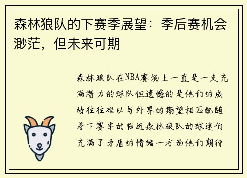 森林狼队的下赛季展望：季后赛机会渺茫，但未来可期